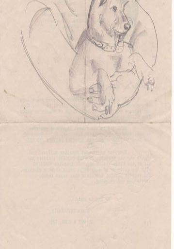 pencil drawing