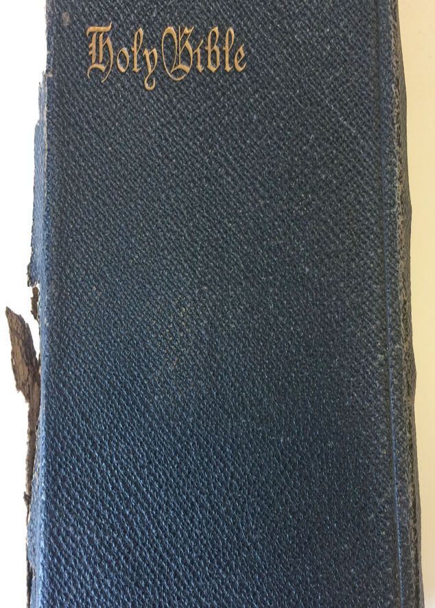 bible