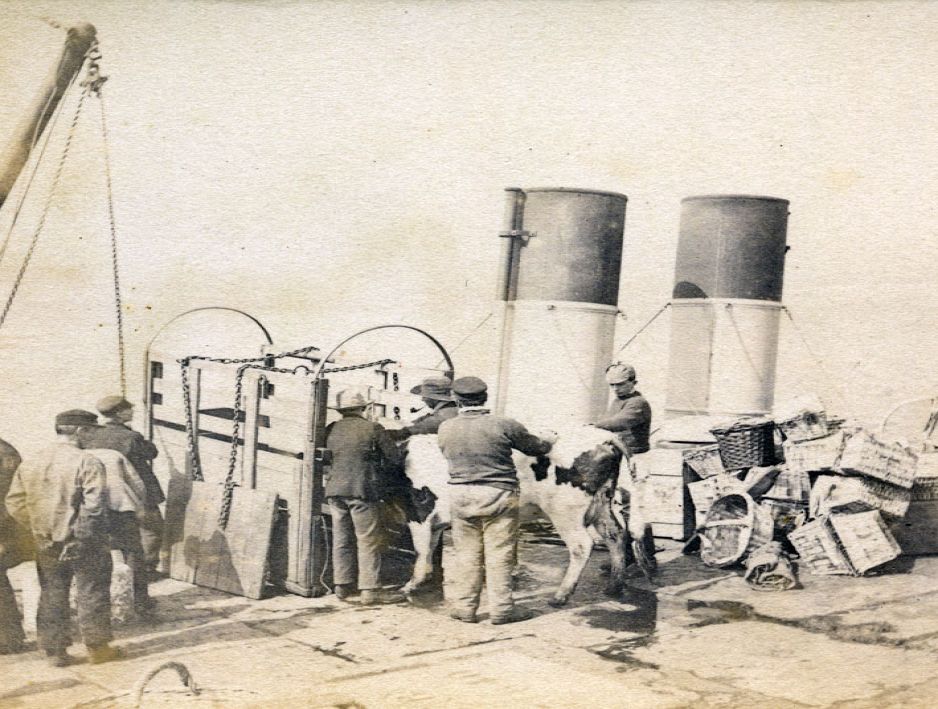 photograph album
