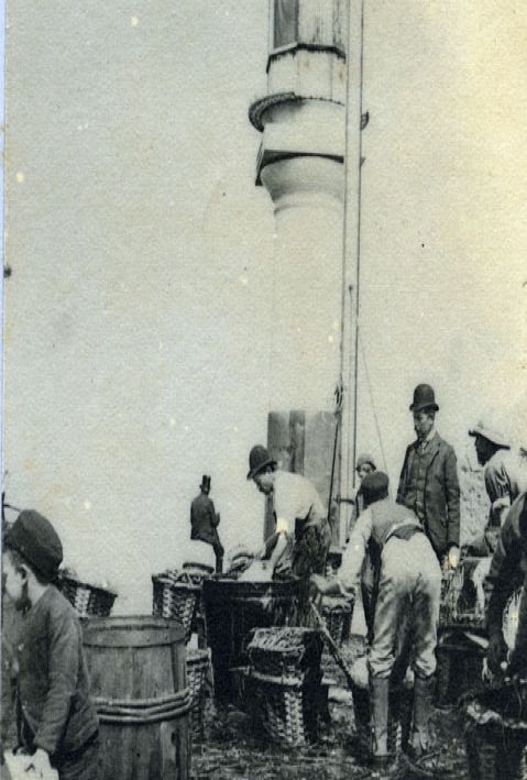 photograph album